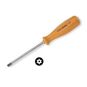 ACCESSORIO KEY THEFT TORX T10 - 310514                                    -