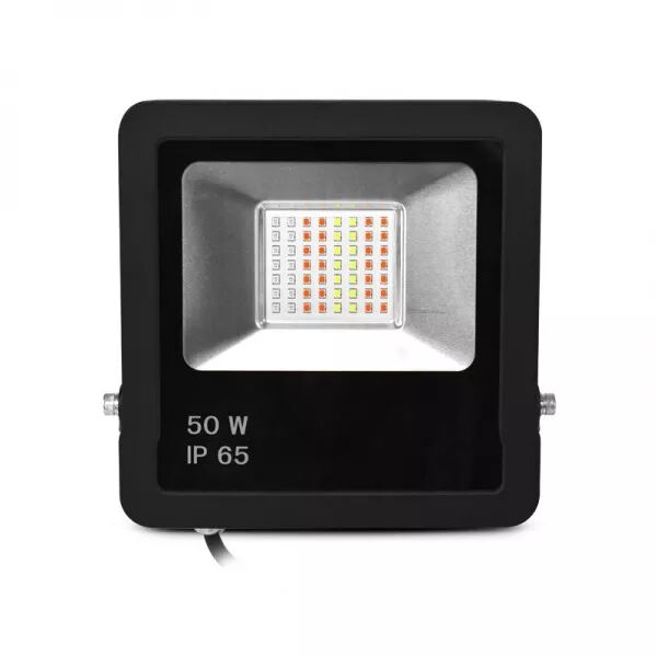 ARCHEO SLIM RGB II PROJECT 50W NOIR IP65 + TELECOMMANDE HF