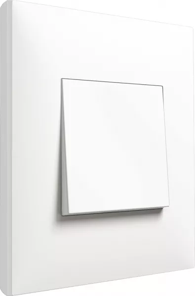 arnould-double va-et-vient espace evolution 10 ax - 250 v~ - blanc (64002)