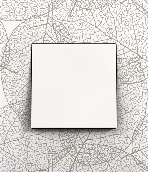 arnould-plaque 1p ld feuilles (51265)