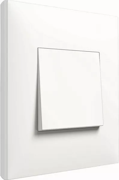 arnould-va-et-vient espace evolution 10 ax - 250 v~ - blanc (64001)