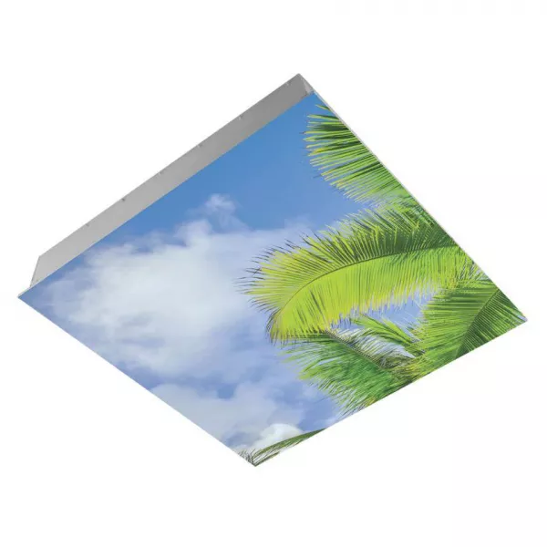 B-SKY  60x60 36W 4000K-IRC80 1800lm (300993)