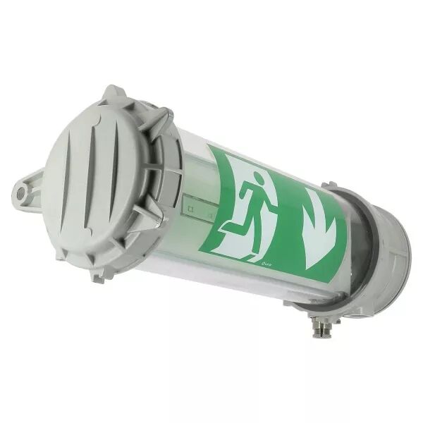 BAES EVACUATION ATEX 100LM-1H SATI CONNECTE-Adressable IP67-IK07 (UR133000V)