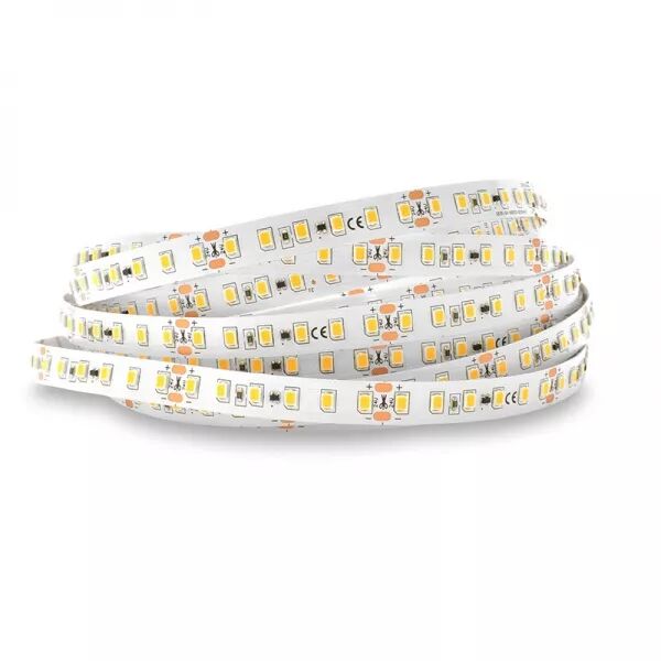 BANDEAU BLC 3000K 5M 120LED 14,4W/M IP20 24V BOITE 5ANS