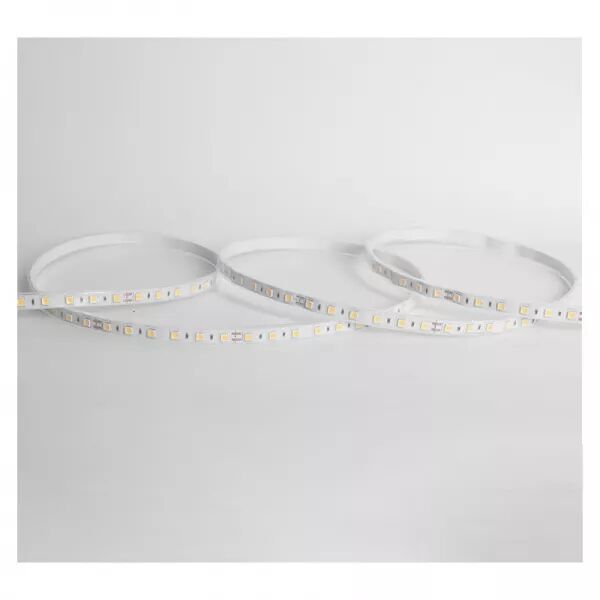 BANDEAU BLC 3000K 5M 120LED ET 9W/M IP67 12V TUBE SILICONE