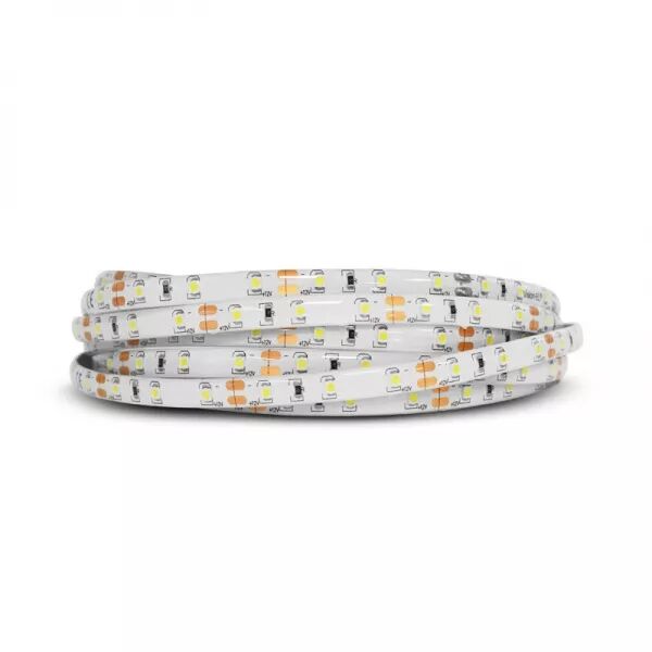 &BANDEAU BLC 6000K 5M 60LED ET 4.8W/M IP65 12V PU