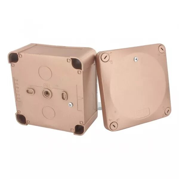BLM - Btier FARABOX IP55 1/4T.100x100x55 mm (545429)