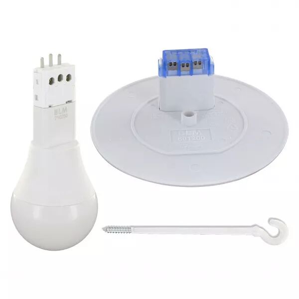 BLM - Lot 50 kits fin. piton L85mm + Couv. DCL D120 + DCLED (785127)