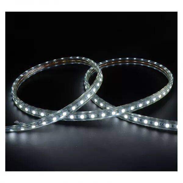 BOBINE LED 5050 1M 8W/M IP65 6000K+ ALIM