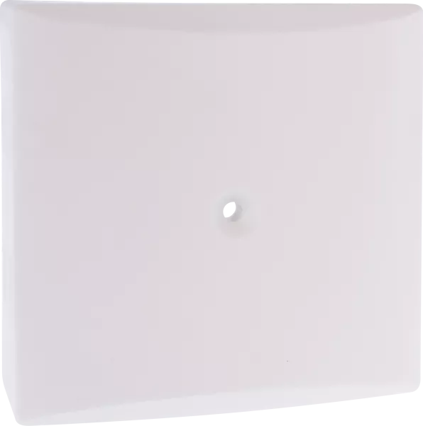 Boite de d�rivation avec bornier (60645B)