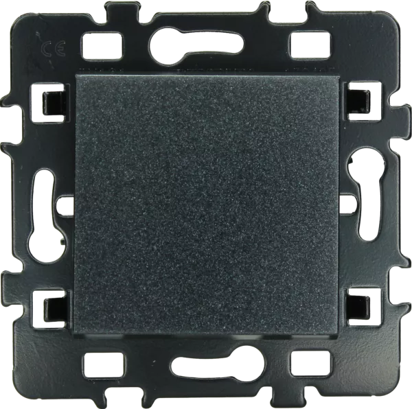 Bouton- poussoir anthracite (61902)