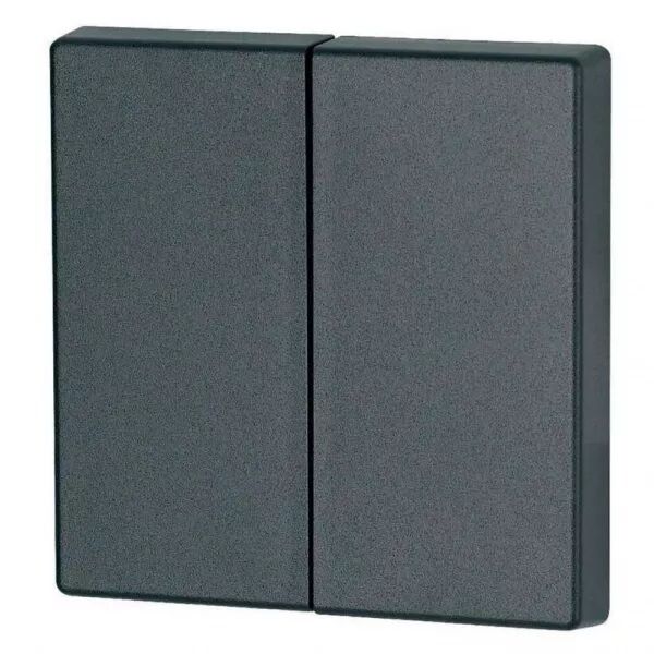 Bouton � bascule, double, anthracite (126049)