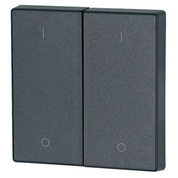 Bouton � bascule, double, I/0, anthracite (147596)