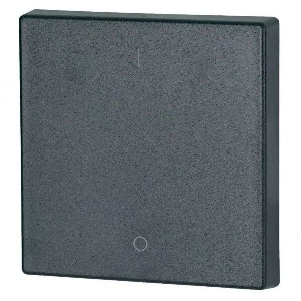 Bouton � bascule, simple, I/0, anthracite (147592)