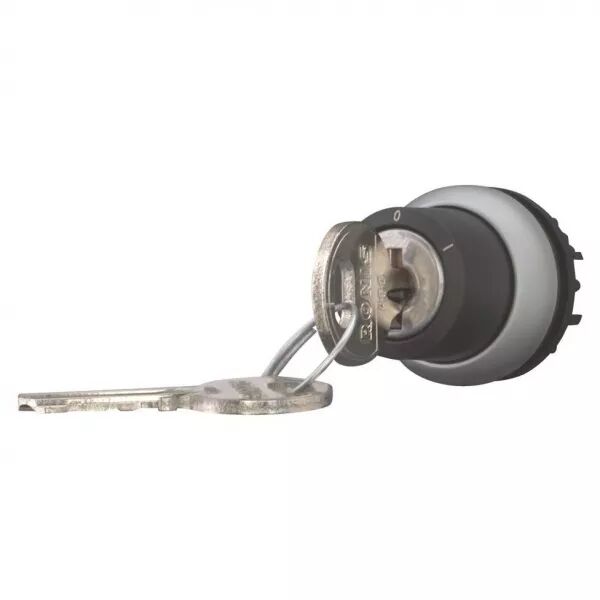 Bouton � cl� (Ronis 455), 2 positions (171147)