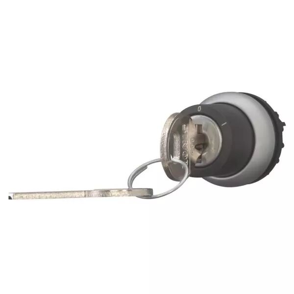 Bouton � cl� (Ronis 455), 2 positions (171149)