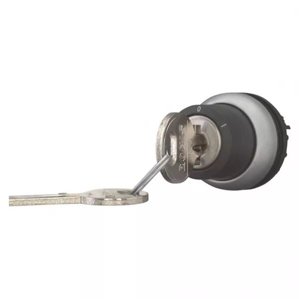 Bouton � cl� (Ronis 455), 2 positions (171151)