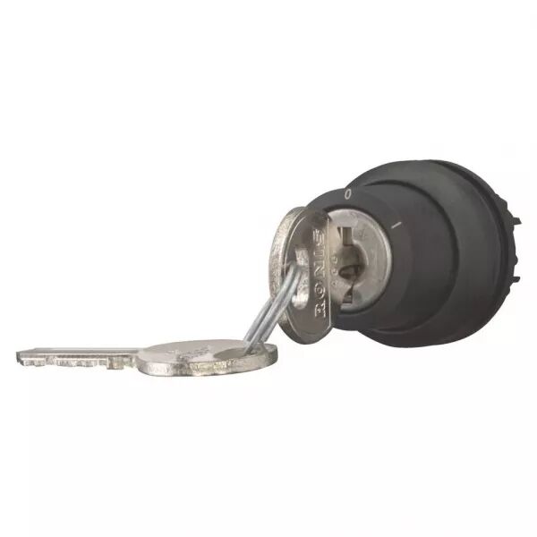 Bouton � cl� (Ronis 455), 2 positions (171152)