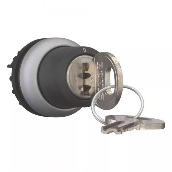 BOUTON � CL� (RONIS 455), 2 POSITIONS