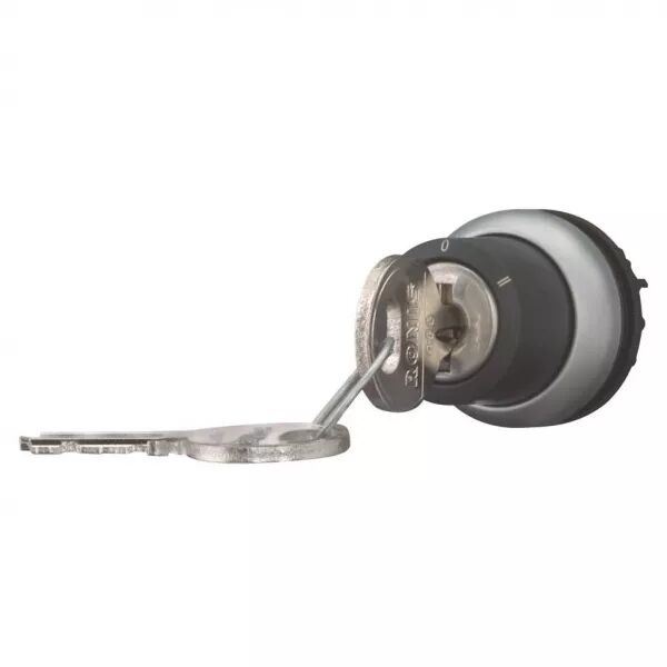 Bouton � cl� (Ronis 455), 3 positions (171155)