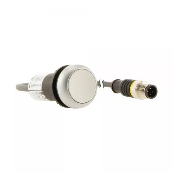 BOUTON-POUS.AFFL.,1F,BLANC,0,2M,M12A