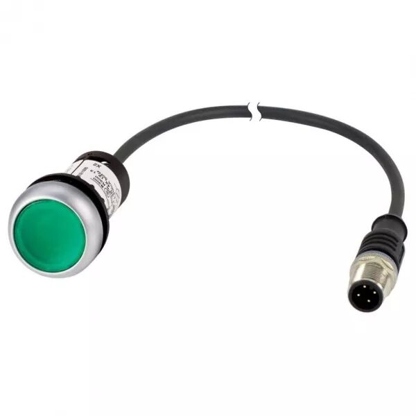 Bouton-pous.lum.,24V,1F,vert,0,2m,M12A  (185554)