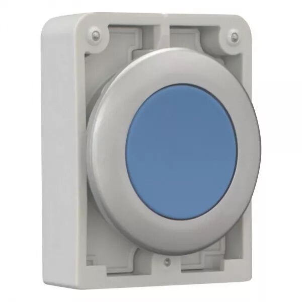 BOUTON POUSSOIR, 30MM, FLUSH, � ACCROCH BLEU, SANS INSCRIPTION
