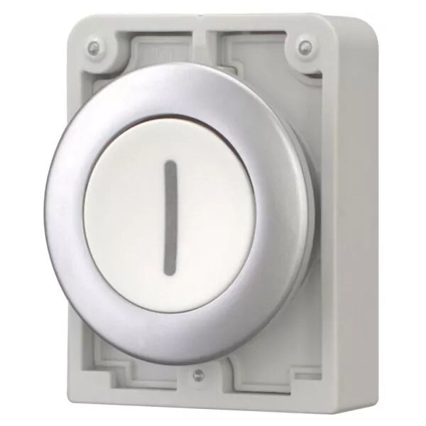 Bouton poussoir, 30mm, flush, a rappel,blanc, avec inscription  (182962)