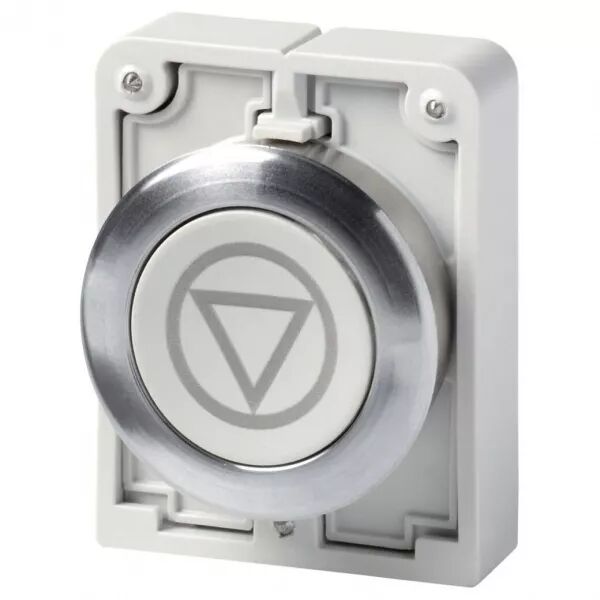 Bouton poussoir, 30mm, flush, a rappel,gris, avec inscription  (182964)