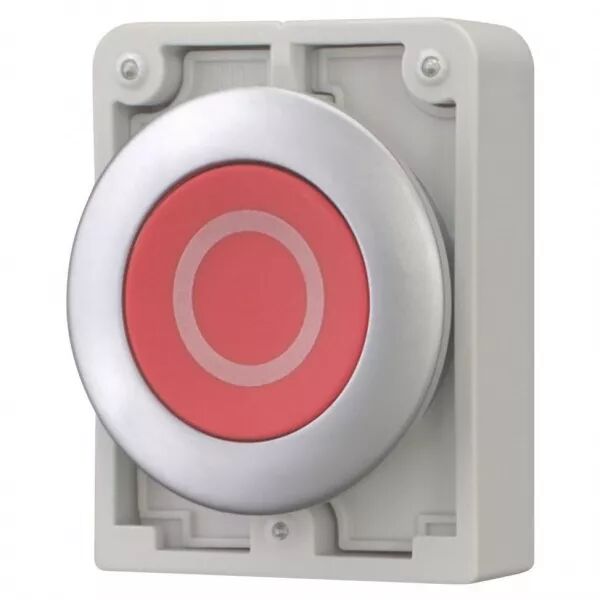 Bouton poussoir, 30mm, flush, a rappel,rouge, avec inscription  (182939)