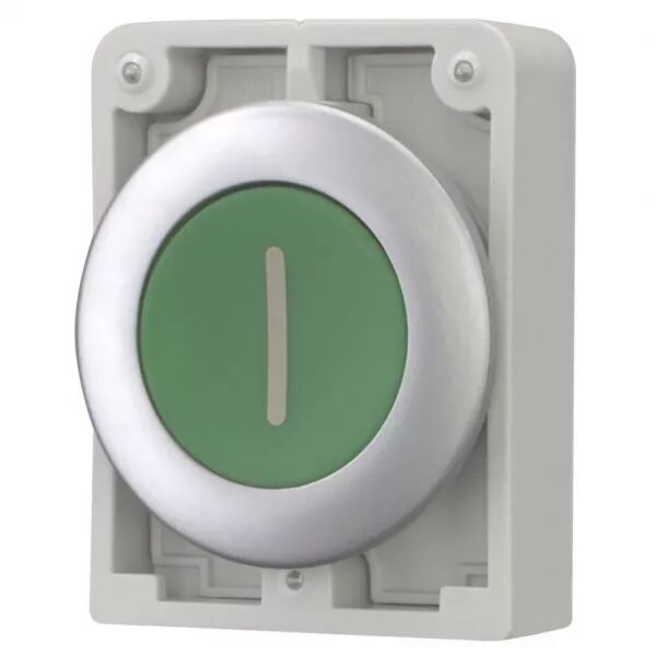 Bouton poussoir, 30mm, flush, a rappel,vert, avec inscription  (182956)