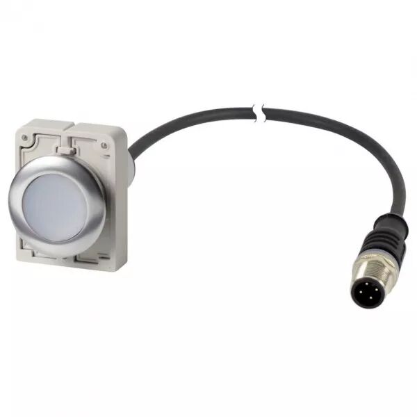 Bouton-poussoir, � accrochage, 1 N/O, blanc, cable et connecteur M12A, 1 m (185995)