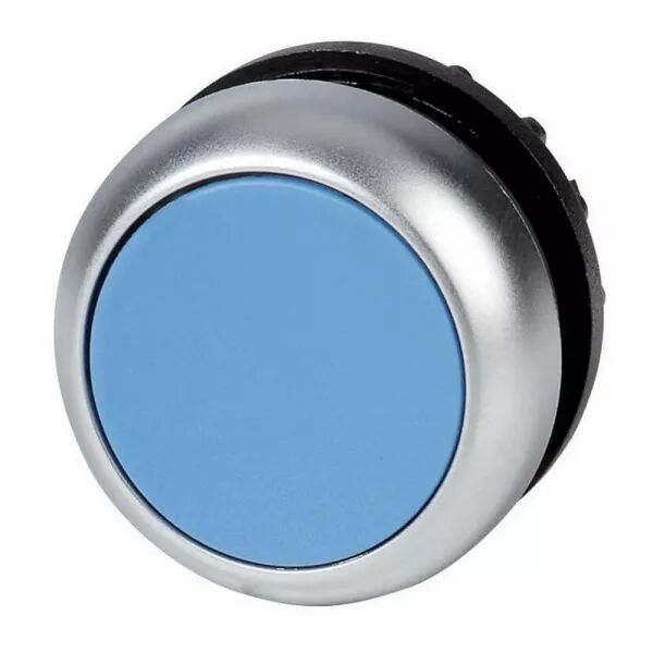 BOUTON-POUSSOIR, AFFLEURANTS, BLEU, � ACCROCHAGE