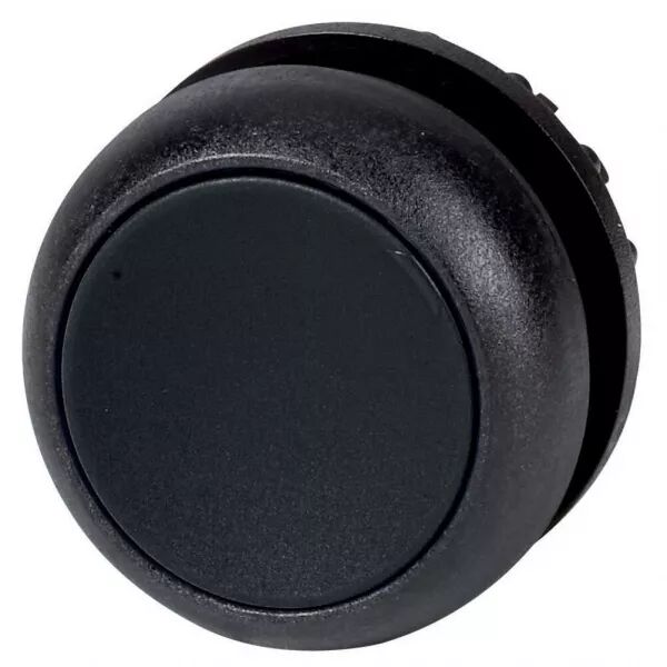 Bouton-poussoir, affleurants, noir, � accrochage (216614)
