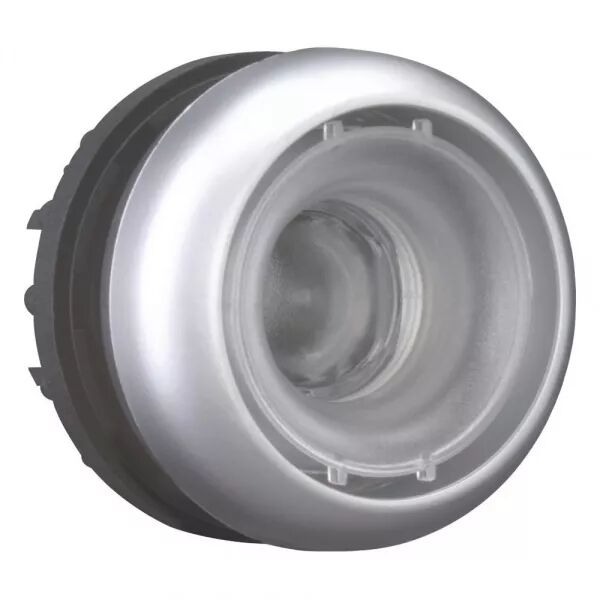 BOUTON-POUSSOIR, PLAT, SANS �TIQUETTE, � RAPPEL