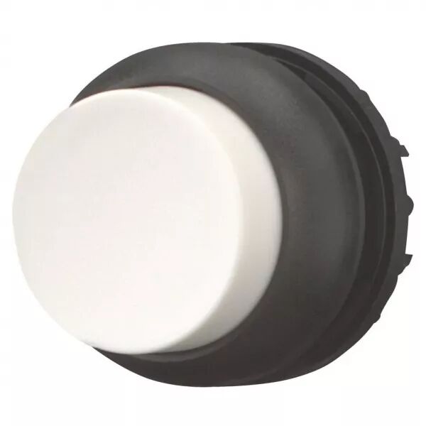 Bouton-poussoir, saillant, blanc, � rappel (216639)