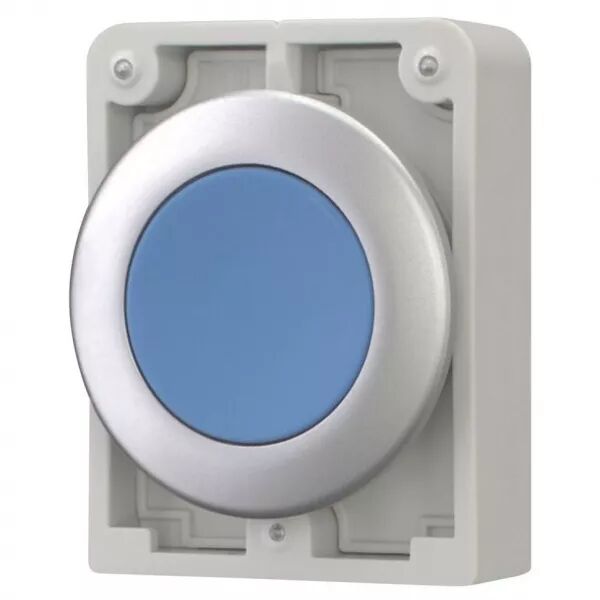 Bouton poussoir 30mm,flush, a rappel,bleu, sans inscription (182921)
