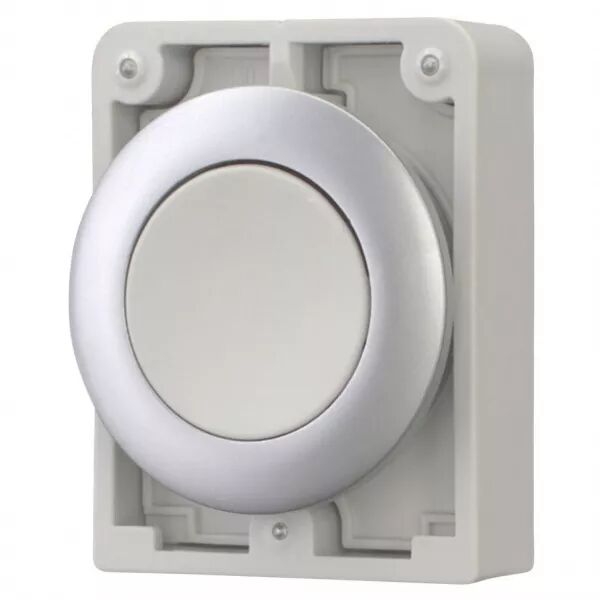 Bouton poussoir 30mm,flush, a rappel,gris, sans inscription (182923)