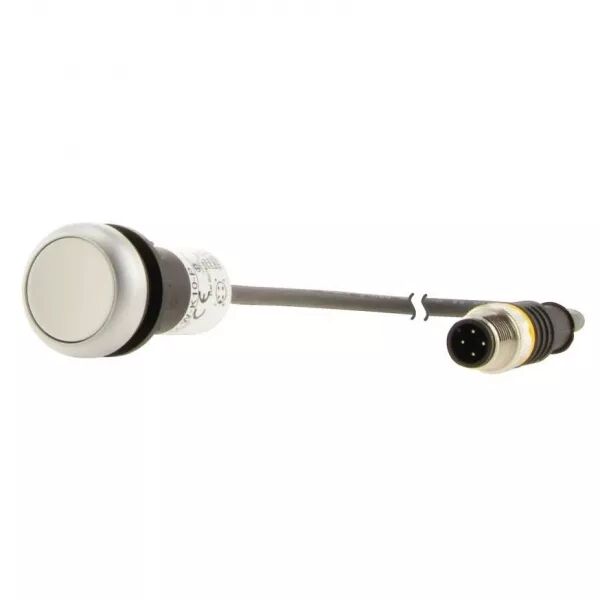 Bouton-poussoir affleurant; � accroch; blanc; 1 NO; c�ble 1m + connecteur M12A (181085)