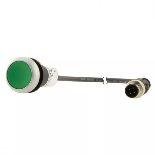 Bouton-poussoir affleurant; � accroch; vert; 1 NO; c�ble 1m + connecteur M12A (181079)