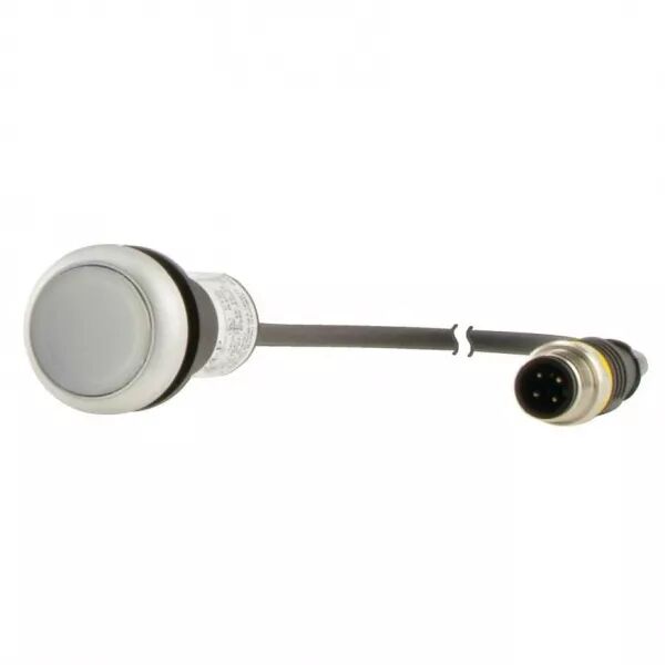 Bouton-poussoir lumin; � accroch; blanc; 24 V; 1 NO; c�ble 1m + connecteur M12A (181370)