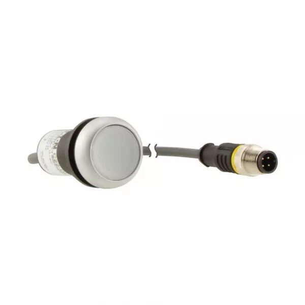 BOUTON-POUSSOIR LUMIN, � ACCROCH, BLANC, 24 V, 1 NO, C�BLE 1M + CONNECTEUR M12A