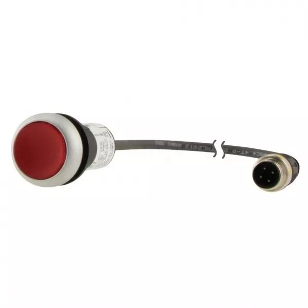Bouton-poussoir lumin; � rappel; rouge; 24 V; 1 NC; c�ble 1m + connecteur M12A (181303)