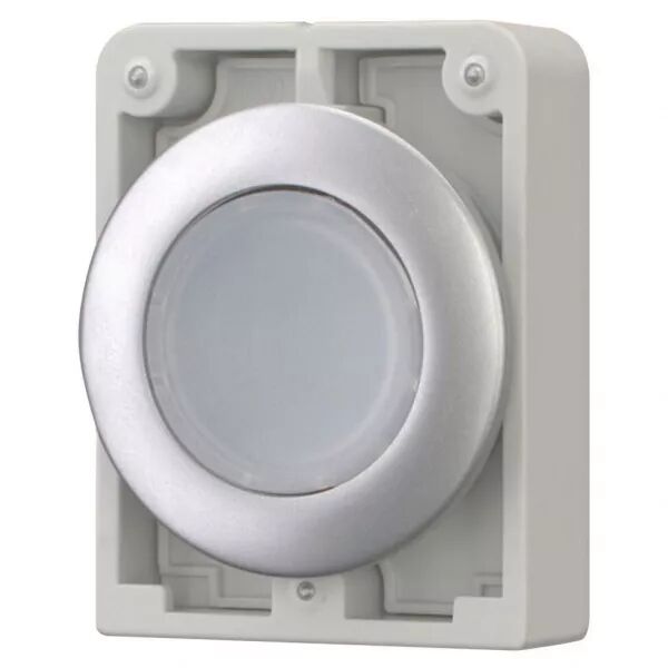 Bouton poussoir lumineux, 30mm, flush, � accroch blanc, sans inscription (182950)