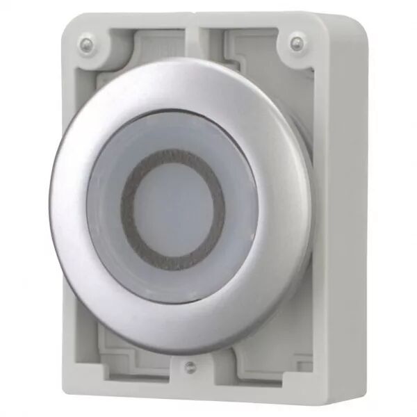 Bouton poussoir lumineux, 30mm, flush, a rappel,blanc, avec inscription  (182929)