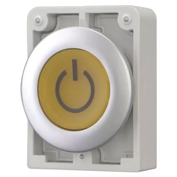Bouton poussoir lumineux, 30mm, flush, a rappel,blanc, avec inscription  (182965)
