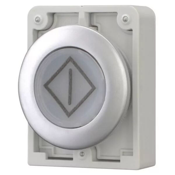 Bouton poussoir lumineux, 30mm, flush, a rappel,blanc, avec inscription  (182966)