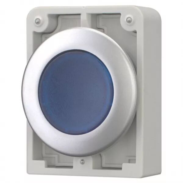 Bouton poussoir lumineux, 30mm, flush, a rappel,bleu, sans inscription (182940)