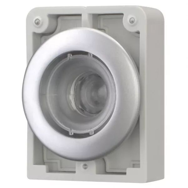 Bouton poussoir lumineux, 30mm, flush, a rappel,sans �tiquette (182941)