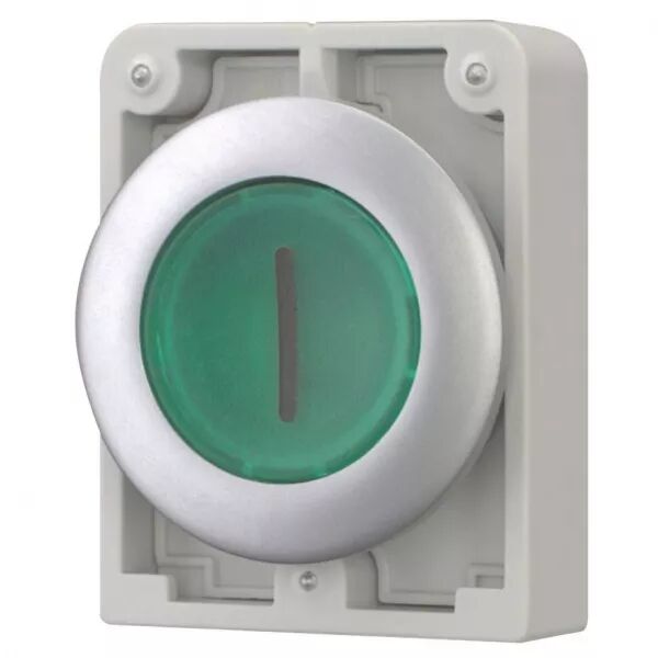 Bouton poussoir lumineux, 30mm, flush, a rappel,vert, avec inscription  (182957)